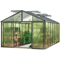 Gfp Profi 311 x 534 cm Gewächshaus, Pulverbeschichtet Anthrazit,