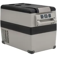 VidaXL Kühlbox mit Griff und Adapter Schwarz und Grau