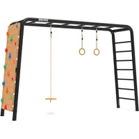 Berg Toys BERG PlayBase L Schwarz + Scheibenschaukel +