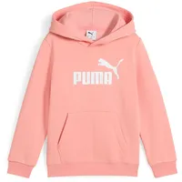 Puma Essentials No. 1 Logo Hoodie FL PS 684931-18