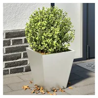 VidaXL Pflanzkübel 2 Stk. 30x30x30 cm Edelstahl