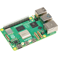 Raspberry Pi 5 2GB RAM