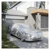 VidaXL Stoffgarage Limousine Silbern XXL