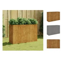 VidaXL Hochbeet 120 x 40 x 80 cm Cortenstahl