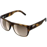 Poc Want tortoise brown (WANT7012)