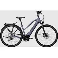 Hercules E-Bike Pasero Pro I-12 28" Trapez 12-Gang Grau