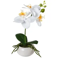 Gasper Kunstpflanze Phalenopsis BARBIRI, Gelb - Grün - Weiß