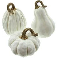 Frank-Flechtwaren Kürbis 'White' 3er Set Herbstdeko Gartendeko Kürbisse Herbst