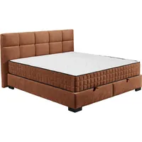 Ed lifestyle Boxbett NAGOL