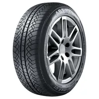 Aptany Winter-Max U1 RW611 185/60 R15 88T XL