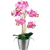 Creativ green Kunstorchidee »Orchidee Phalaenopsis«, mit silberfarbenem Keramiktopf pink