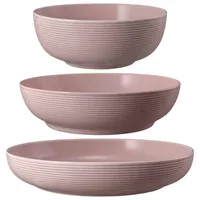 SELTMANN WEIDEN Beat Color Glaze Foodbowl Set 3-teilig Altrosa