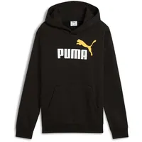 Puma Fleece Hoodie Schwarz 176