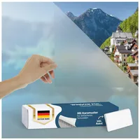 Blumtal Fensterfolie 60x200 cm blickdicht & statisch haftend mit