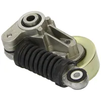 DAYCO Riemenspanner, Keilrippenriemen
