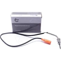 ESEN SKV Sensor, Abgastemperatur VW