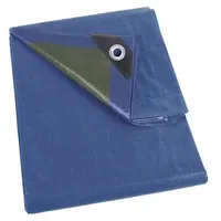 Perel Abdeckplane 2 x 4 m Blau/Grün