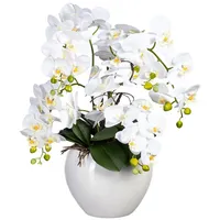 Gasper Kunstpflanze Phalaenopsis weiß Kunststoff B/H/L: ca. 31x56x31 cm