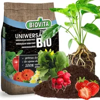 Biovita decorative stones & garden minerals Blumenerde 10 l