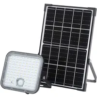 LEDVANCE LED-Solar-Außenleuchte Endura Outdoor schwarz mit Flutlicht und Solar-Panel,