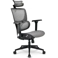Sharkoon OfficePal C40M Bürostuhl, grau