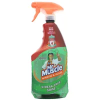 Mr Muscle Fenster- und Glasreiniger Spray 750 ml