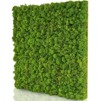 Naturewalls Moospaneele Basic - 50 x50 - Moosbild Islandmoos