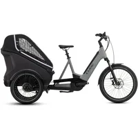 Cube Trike Family Hybrid 750 2026 One Size grau