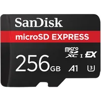 SanDisk microSD Express 256 GB (NVMe)