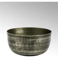 Lambert Dendro 9 cm