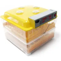 Wiltec Automatische Brutmaschine Terrarium