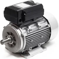 Wiltec Elektromotor 230 V 1,5 kW (2 PS) 1-phasig