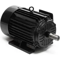 Wiltec Wiltec, Elektromotor, Elektromotor