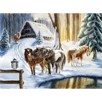 Coppenrath Verlag Wandkalender Winterpferde