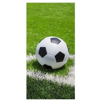 Jerry Fabrics Fußball Duschtuch Badetuch Handtuch Strandtuch 70 x