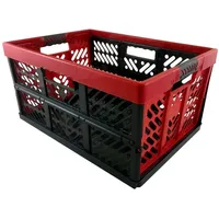 Homesti Klappbox 45 L bis 50 kg, 2er Set,