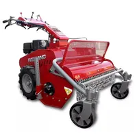 Weibang WB GT 6813 TE Schlegelmäher