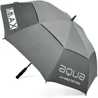 Big MAX Aqua UV grau/silber