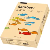 Papyrus Rainbow Kopierpapier COLOURED PAPER lachs DIN A4 80
