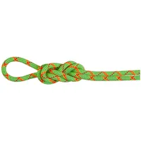 Mammut Alpine Core Protect Dry Kletterseil (Größe 30m, gruen)