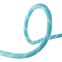 Edelrid Interstatic Protect 11.0mm Statikseil (Größe 50M, blau)