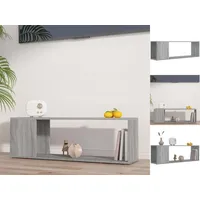VidaXL TV-Schrank Grau Sonoma 100x24x32 cm Holzwerkstoff