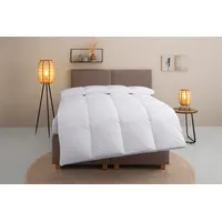 Home Affaire Daunenbettdecke HOME AFFAIRE "Chevillon Bettdecke 135x200 cm,