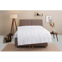 Home Affaire Daunenbettdecke HOME AFFAIRE "Marseilles Bettdecke 135x200 cm