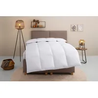 Home Affaire Daunenbettdecke HOME AFFAIRE "Chevillon Bettdecke 135x200 cm,