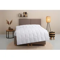 Home Affaire Daunenbettdecke HOME AFFAIRE "Chevillon Bettdecke 135x200 cm,