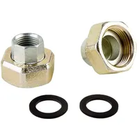 WILO Verschraubung Rp 3/4 Zoll x G 1 1/4