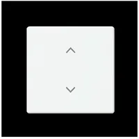 Busch-Jaeger Wippe 1-fach 6735-11-884