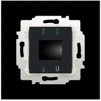 Busch-Jaeger 62843 U-WL Raumtemperaturregler-Einsatz, WL mit Display mit elektronischem