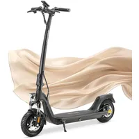 Joyor C10E E-Scooter mit Straßenzulassung wechselbarer Akku Rahmen aus